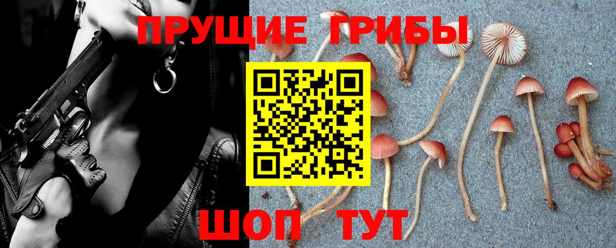 Таганрог  Галлюциногенные грибы мухоморы  Вход с VPN 