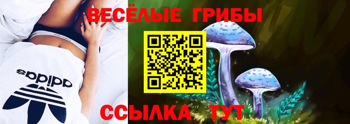 Псилоцибиновые грибы ЛСД Таганрог